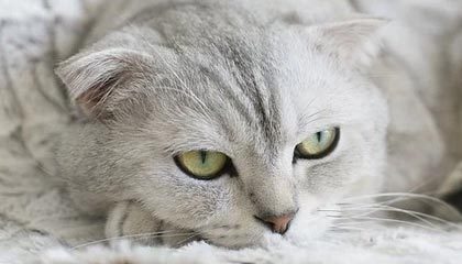 冰箱不是保险箱！学会这几招，蔬菜放一周也水灵灵