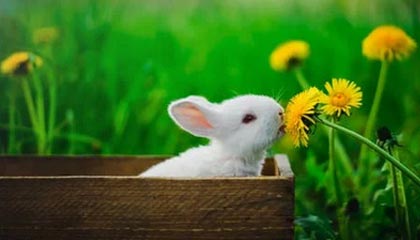 油炸食物不溅油，8个实用技巧让你安全下厨